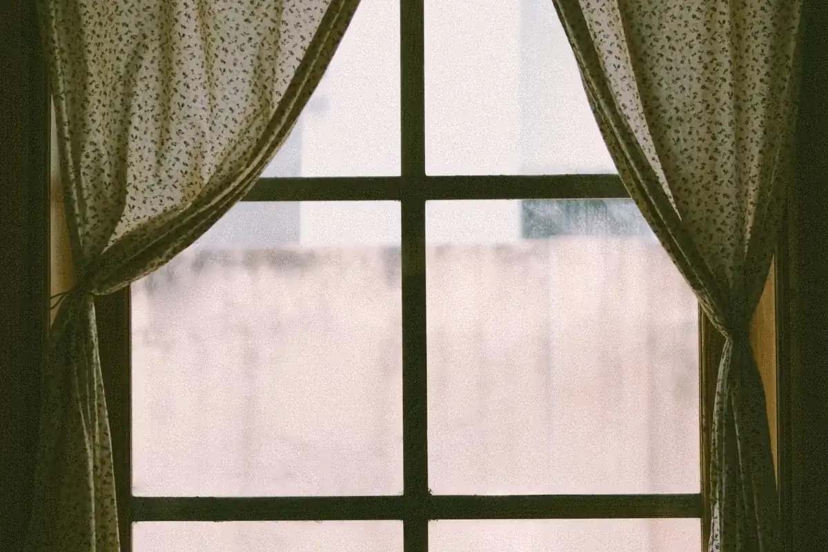 Decomposition & Death Odor Removal in Sunset Hill, Seattle, WA